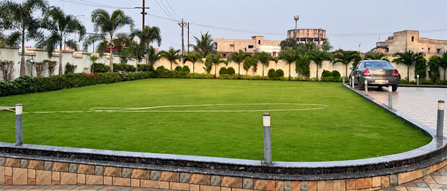 The original panoramic view of Oasis lawn, lined with palm trees